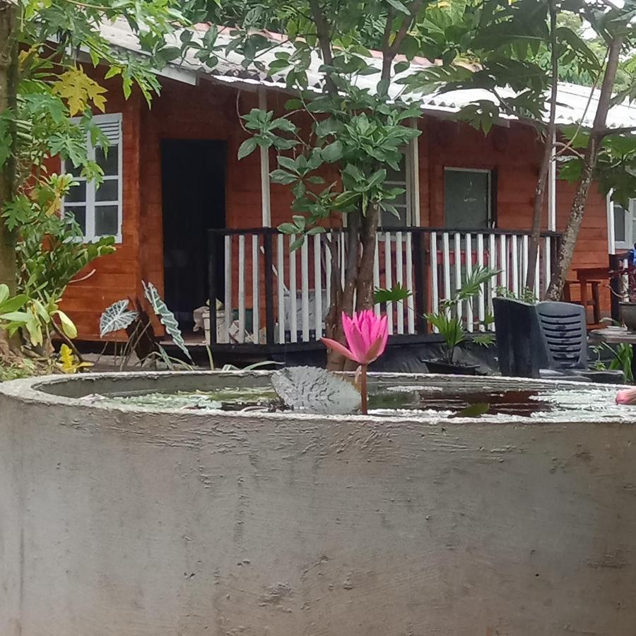 My House Ahangama Zewnętrze zdjęcie